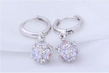 100% 925 sterling silver Anti allergy-Earring